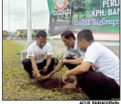 Tanam Trembesi di Bandara Blimbingsari