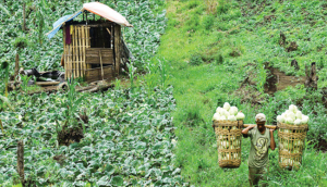 Berburu Udara Segar di Kawasan Tawonan