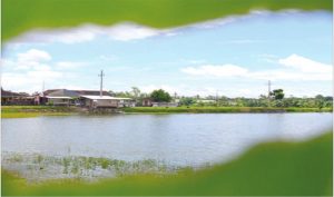 Bekas Galian Tambang Pasir Mirip Waduk