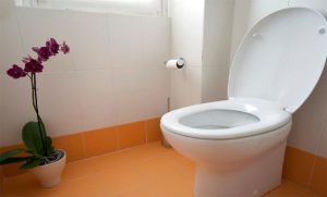WC/Kakus/Toilet
