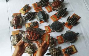 Turtle Replica, Attractive Decoration to Prevent Poaching