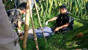 Pencari Bekicot Tewas Tersengat Listrik di Kebun Buah Naga