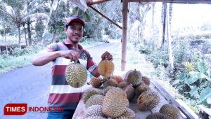 Along the Road in Banyuwangi Flood Durian Fruit