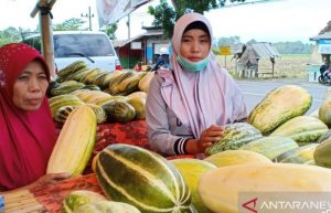 Krai, Buah Khas Banyuwangi yang Hanya Muncul di Bulan Ramadhan