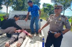 Pengendara Motor Tewas Jadi Korban Tabrak Lari di Singojuruh