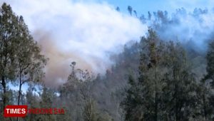 4 Pendaki yang Terjebak di Gunung Rante Berhasil Diselamatkan