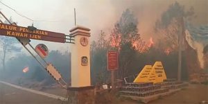 Kebakaran Gunung Ranti Merembet ke Gunung Ijen