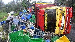 Pecah Ban, Truk Pengangkut 10 Ton Lemuru Terguling