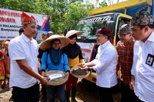 Kebun Kopi Lanang Banyuwangi Kembali Ekspor Robusta ke Italia