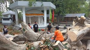 Pohon Beringin Berusia Ratusan Tahun Tumbang Disapu Angin