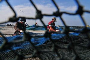 Extreme Weather, Fishermen Refuse to Sail