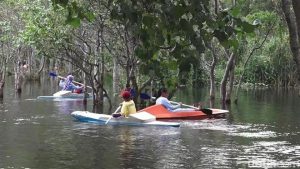 Rawa Kotor di Banyuwangi “Disulap” Jadi Tempat Wisata Kece