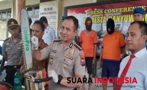 Curi Kayu Jati, Warga Banyuwangi dan Surabaya Diciduk Polisi