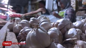 Garlic Prices in Banyuwangi Skyrocketed, Translucent Rp 70 Thousand per Kilogram