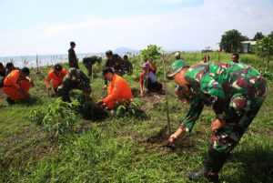 Kodim 0825 Banyuwangi Tanam 25 Ribu Pohon di Pantai Bomo