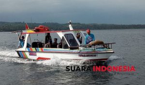 Seekor Kijang Terdampar di Pantai Watudodol Usai Arungi Selat Bali