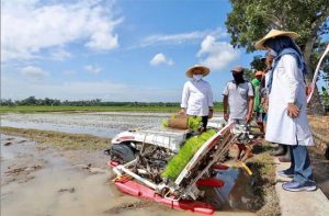 Bupati Anas Dorong Petani Manfaatkan Alsintan Optimalkan Hasil Pertanian