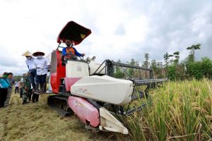 Jaga Produksi Beras di Masa Pandemi, Bulan Ini Banyuwangi Panen 55.975 Ton