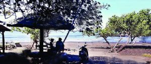 Pantai Grajagan Kurang Terurus