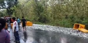 Overturned Pickup, Lemuru Spilled on the road