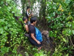 Leaving Home During 10 Day, Old Man 50 Year Found Lifeless Under a Mangrove Tree