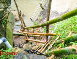 Pakai Tangga Bambu, Warga Banyuwangi Nekat Menyeberangi Jembatan Ambruk