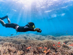 6 Spot Snorkeling di Banyuwangi, Pesona Bawah Lautnya Bikin Gak Kedip!