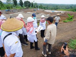 Berjajar Rumah Osing, Pembangunan Agrowisata Tamansuruh Banyuwangi Capai 70 Persen