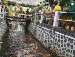 Communities in Banyuwangi Turn a River full of Garbage into a Fish and Food Crop Center