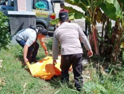 Jenazah Tak Dikenal Ditemukan di Bawah Pohon Pisang di Kalipuro