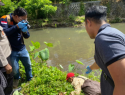 Sesosok Mayat Laki-laki Ditemukan Tertelungkup di Pinggir Sungai Kluncing Banyuwangi