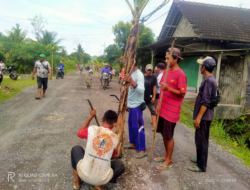 Jalan Ditanami Pohon Pisang, Dua Hari Lagi Dibangun