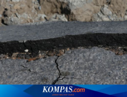 Gempa Bumi Magnitudo 6,2 di Jember, Terasa hingga Banyuwangi