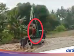 Trucks Loading Welding Dragged by the Heavy Current of the Banyuwangi River, Happy Driver