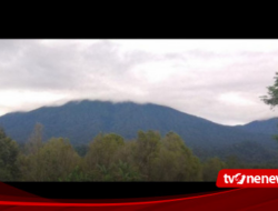 Kabar Gembira, Pendakian Gunung Raung via Kalibaru Banyuwangi Dibuka Lagi, Cek Aturannya