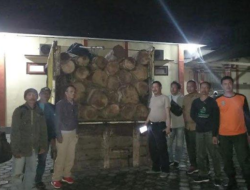 44 Illegal Teak Wood Logs in Banyuwangi Want to Be Smuggled, The No Man's Truck was Suspected