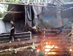 Location is hidden, Cockfighting Gambling Arena in Banyuwangi Destroyed by Officers, Allegedly Leaking Raids