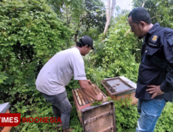 Tasting the Sweetness of Cuan from Honey Bee Cultivation in Banyuwangi Regency