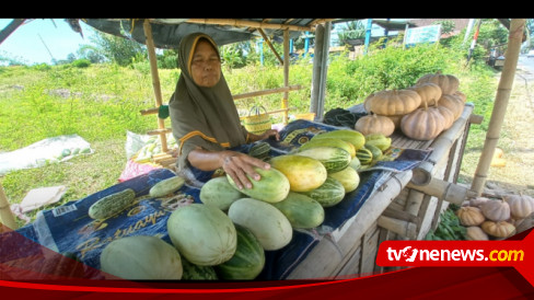 Berkah Ramadhan, Penjual Mentimun Krai Dadakan Menjamur di Banyuwangi