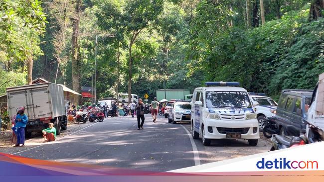 Evakuasi Truk Masuk Jurang, Jalur Gumitir Jember Macet hingga 4 Km