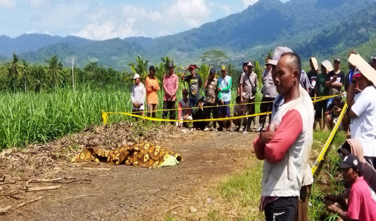 Dua Buruh Kebun di Banyuwangi Diserang Orang Misterius, Satu Tewas