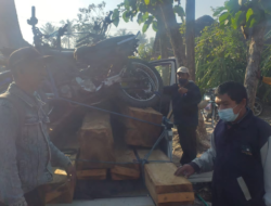 Digerebek Perhutani, Terduga Pelaku Illegal Logging Berhasil Kabur