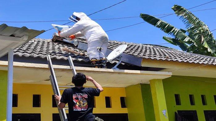endanger-citizen,-Vespa-wasp-nest-evacuated-from-roof-of-resident's-house-in-Banyuwangi-–-tribunjatim.com