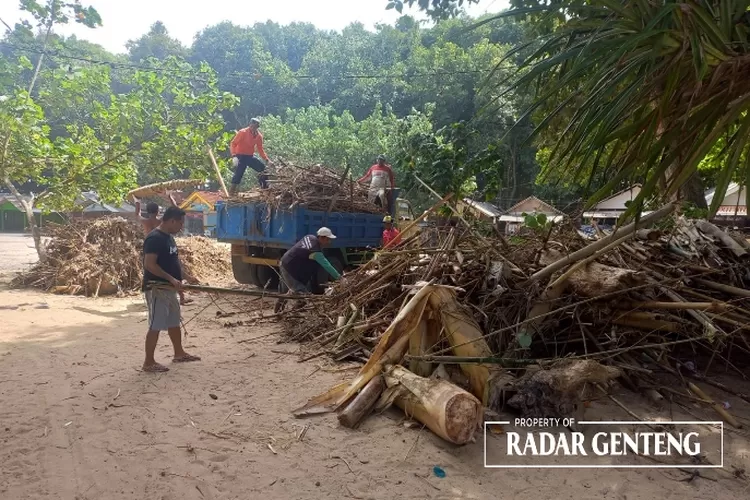 Bersihkan 14 Truk Sampah Dari Pantai Pulau Merah Di Diangkut Truk Dan Dibawa Ke Ups Dusun Pancer