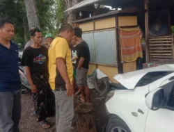 Brak! Mobil Toyota Vios Seruduk Pohon dan Pengendara Motor di Desa Tulungrejo Banyuwangi, Begini Kronologisnya Selengkapnya