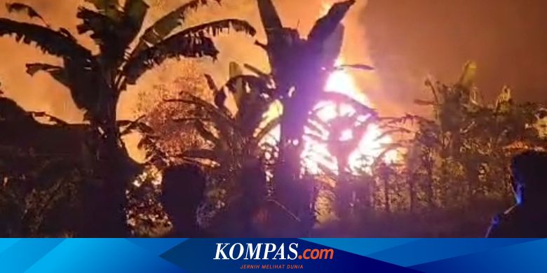coop-containing-7,100-chickens-in-banyuwangi-burned-when-the-staff-cooked-water
