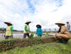 Petani di Banyuwangi Sukses Terapkan Konsep Pertanian Terintegrasi