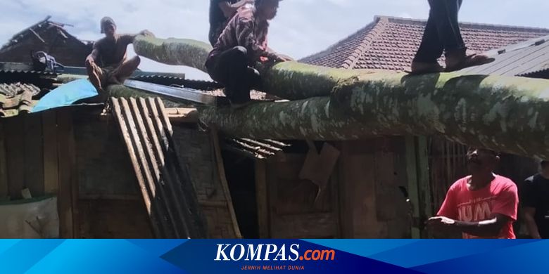 hujan-deras-dan-angin-kencang-di-banyuwangi,-satu-rumah-rusak-tertimpa-pohon