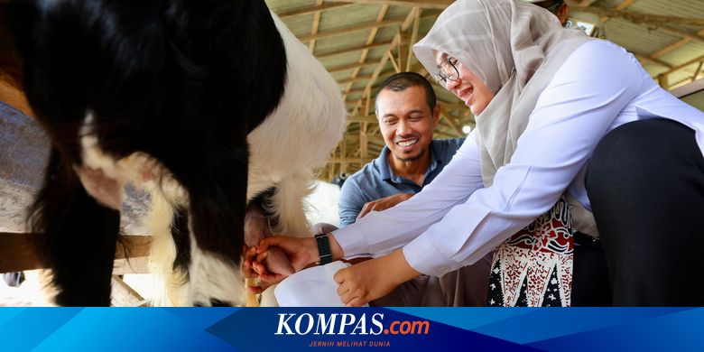 success-story of a former-tki-from-Banyuwangi-who-is-now-goat-milk-business