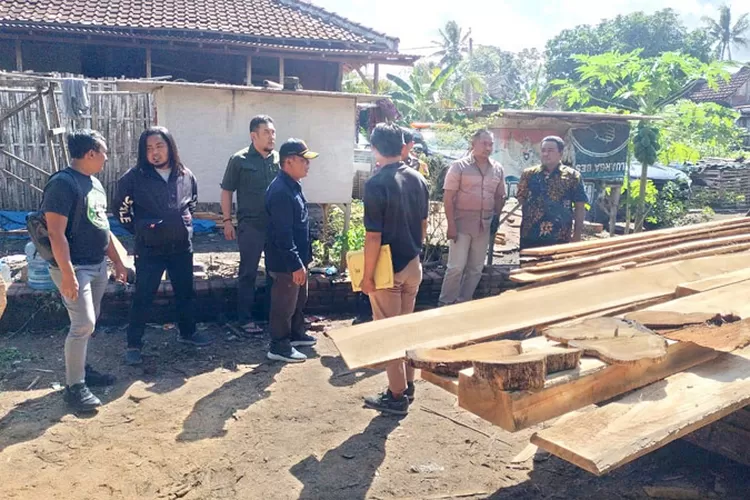 joint-team-perhutani-and-police-raided-illegal-teak-processing-location-in-source-banyuwangi:-secure-16-processed-teakwood